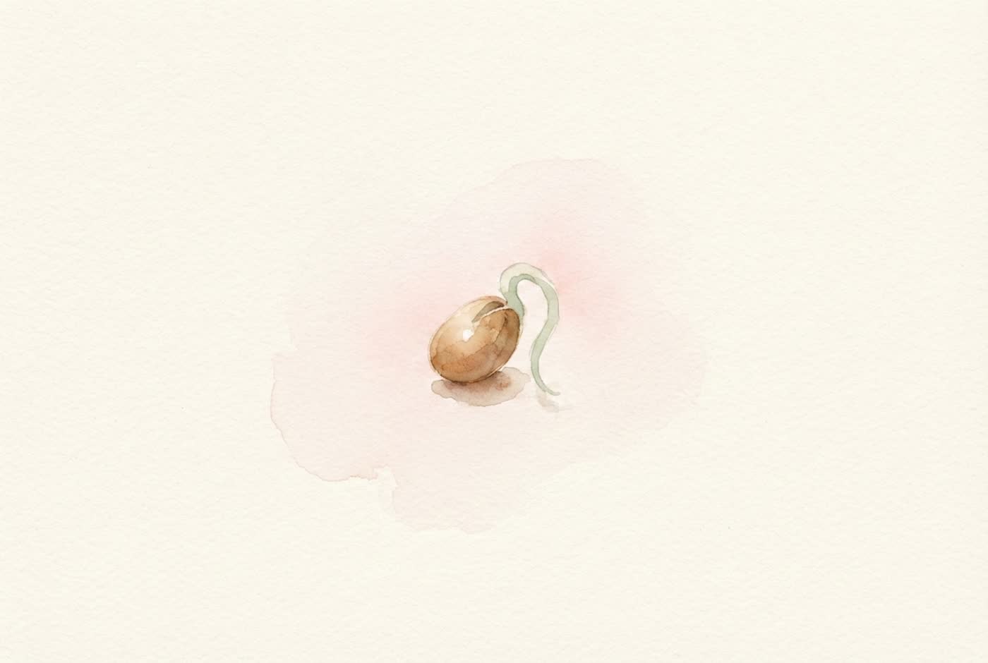 Aquarela de raiz — o tamanho aproximado do bebê com 2 semanas
