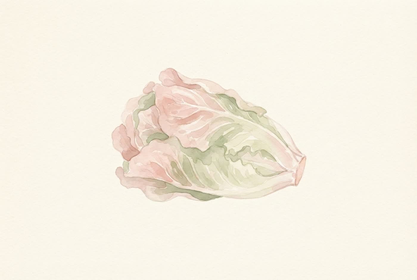 Aquarela de alface romana — o tamanho aproximado do bebê com 37 semanas